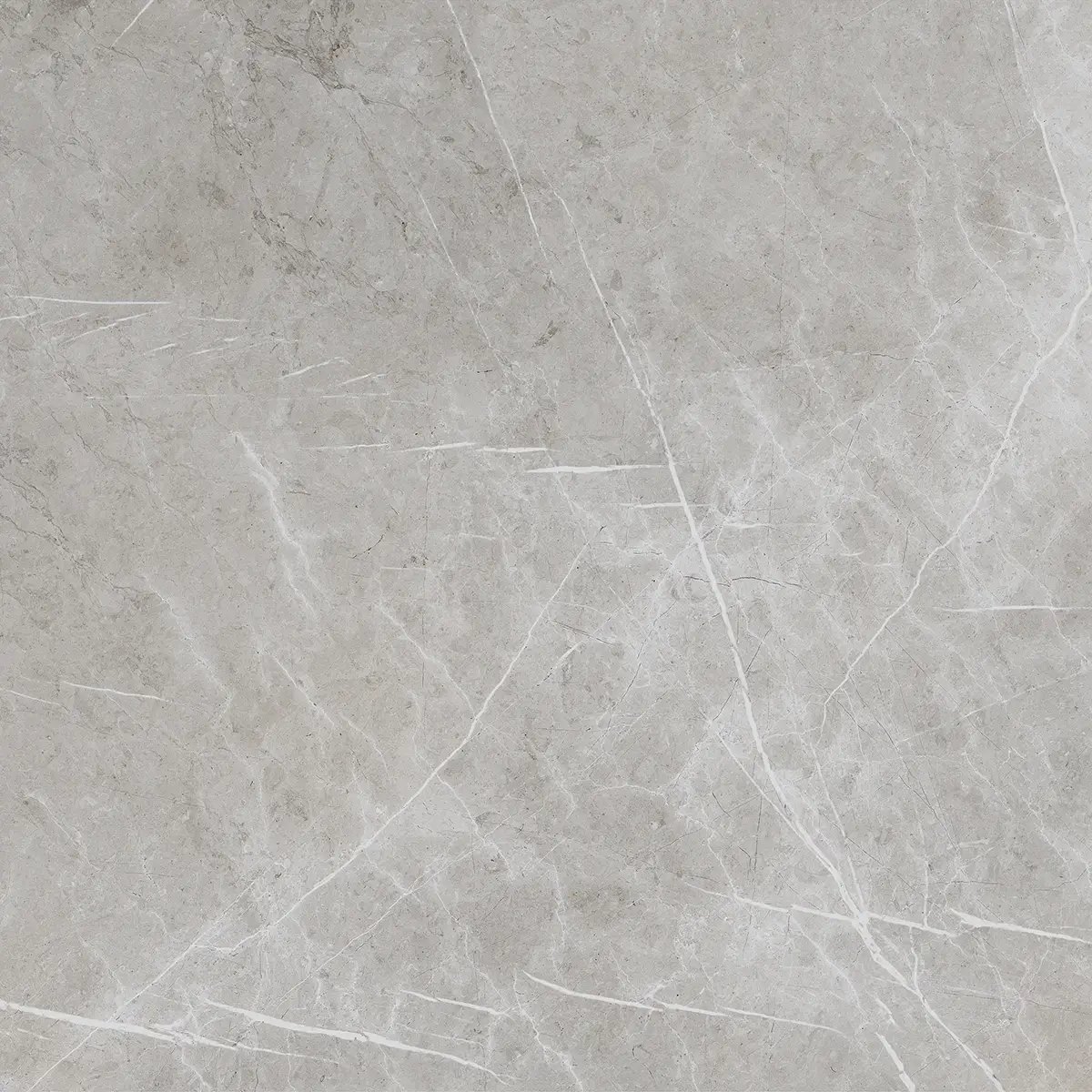 Керамогранит Alesta Silver, 60×60 см, 8 мм, полированная (нано), фото 12