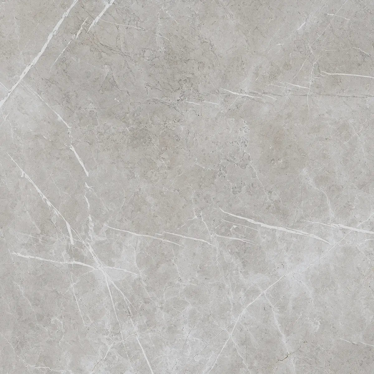 Керамогранит Alesta Silver, 60×60 см, 8 мм, полированная (нано), фото 13