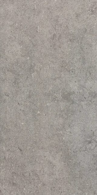 Erva Grey, фото 2