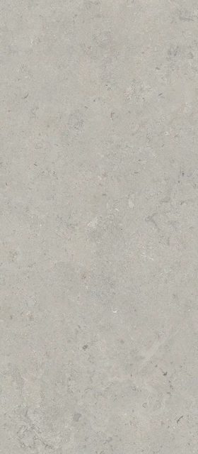 Essential Grey