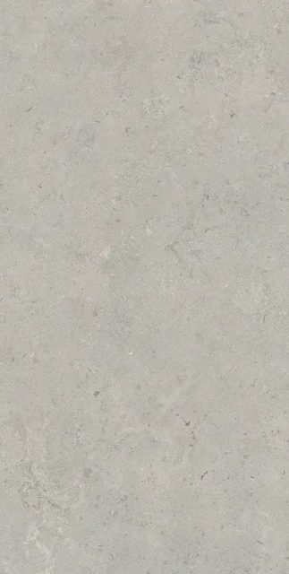 Essential Grey