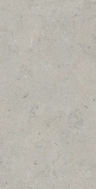 Essential Grey