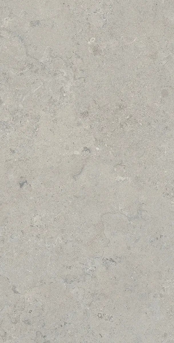 Керамогранит Essential Grey, 60×120 см, 8 мм, матовая (DF), фото 12