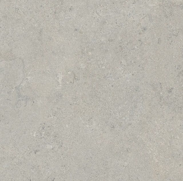 Essential Grey