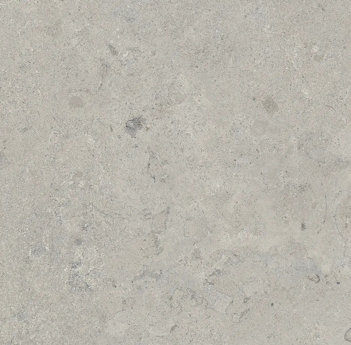 Керамогранит Essential Grey, 60×120 см, 8 мм, матовая (DF), фото 21