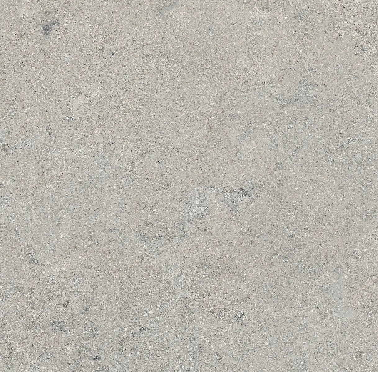Керамогранит Essential Grey, 60×120 см, 8 мм, матовая (DF), фото 25