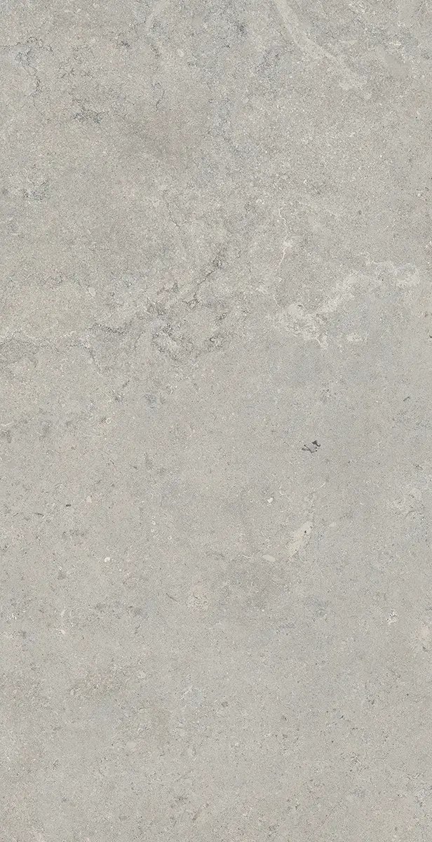 Керамогранит Essential Grey, 60×120 см, 8 мм, матовая (DF), фото 15