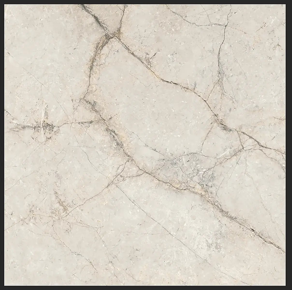 Керамогранит Grand Bone, 80×80 см, 8 мм, матовая, фото 2