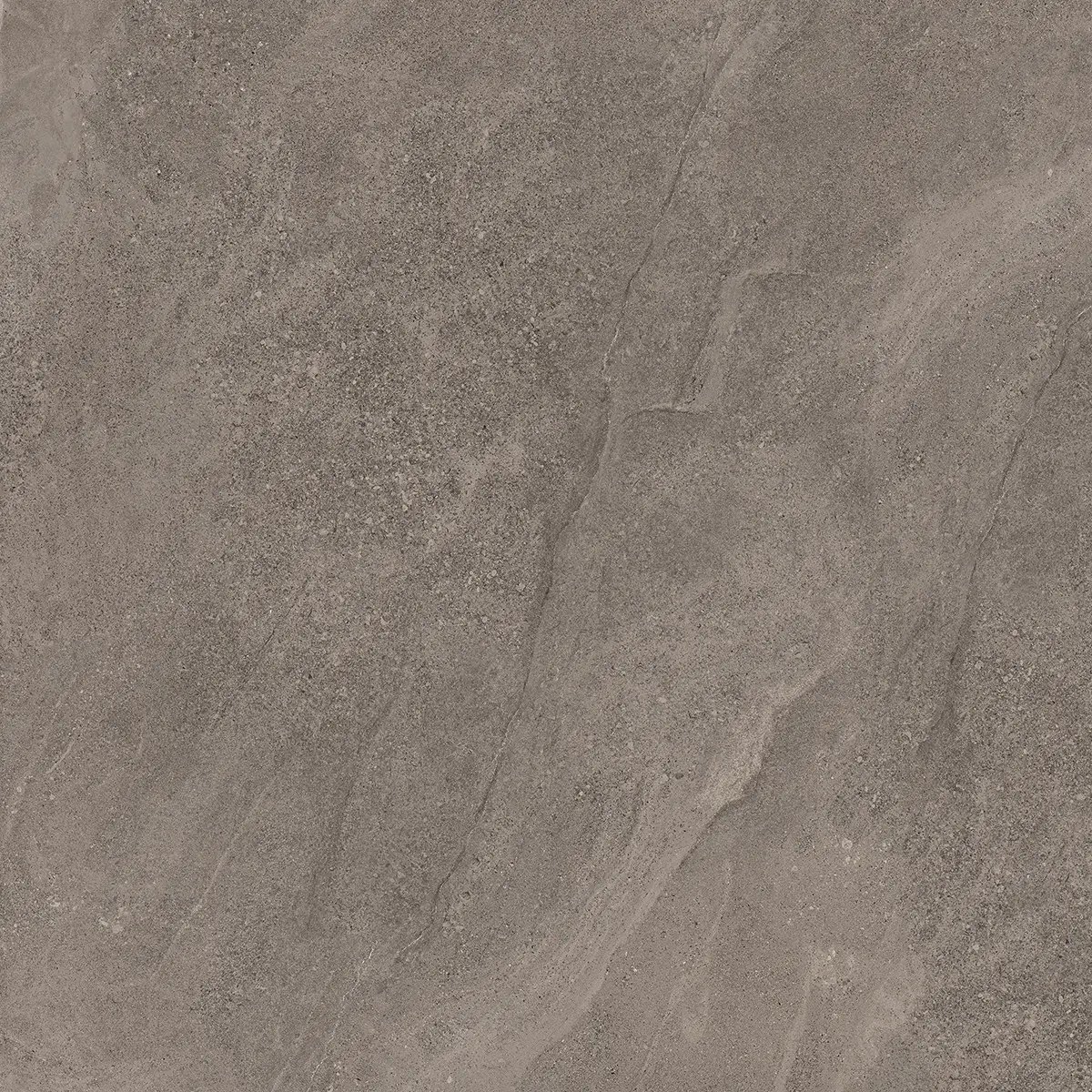 Керамогранит Indiana Taupe, 60×120 см, 8 мм, матовая, фото 18