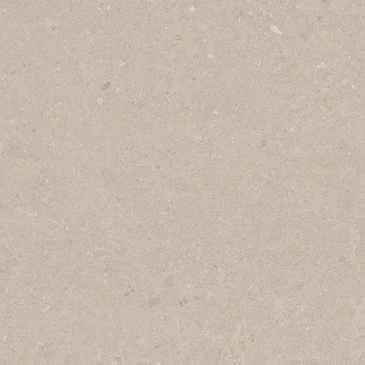 Керамогранит Jura Bone, 80×80 см, 8 мм, матовая, фото 10