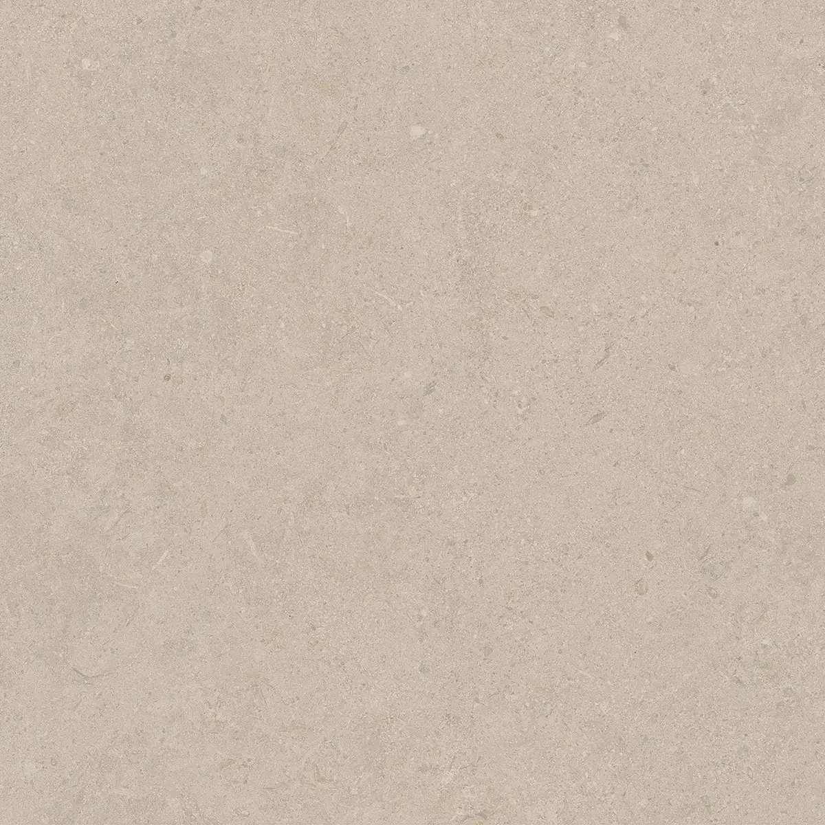 Керамогранит Jura Bone, 80×80 см, 8 мм, матовая, фото 11