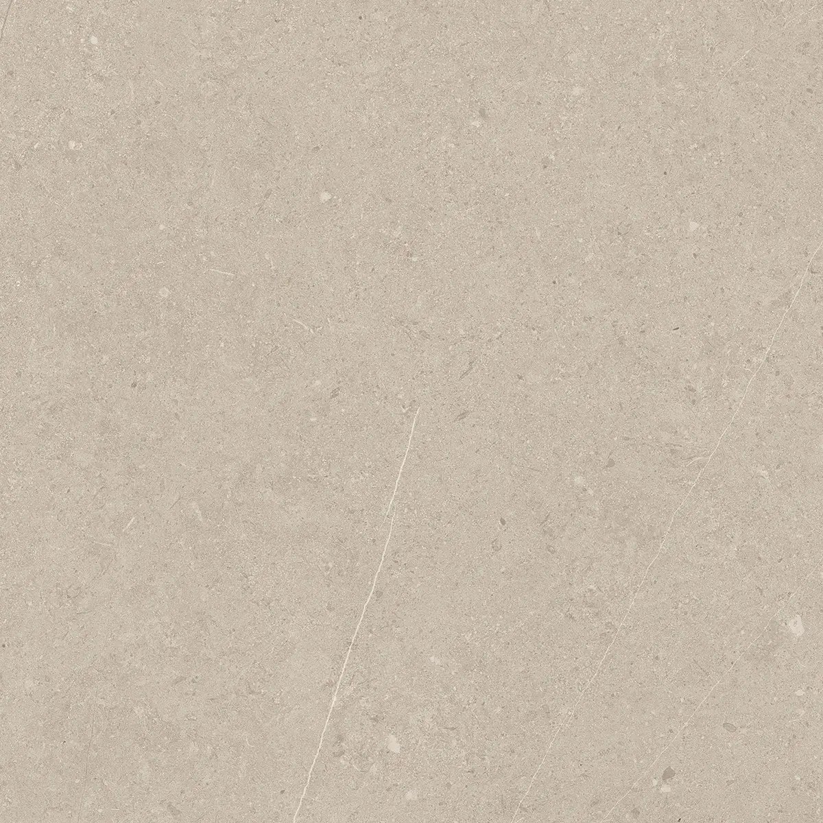 Керамогранит Jura Bone, 80×80 см, 8 мм, матовая, фото 3