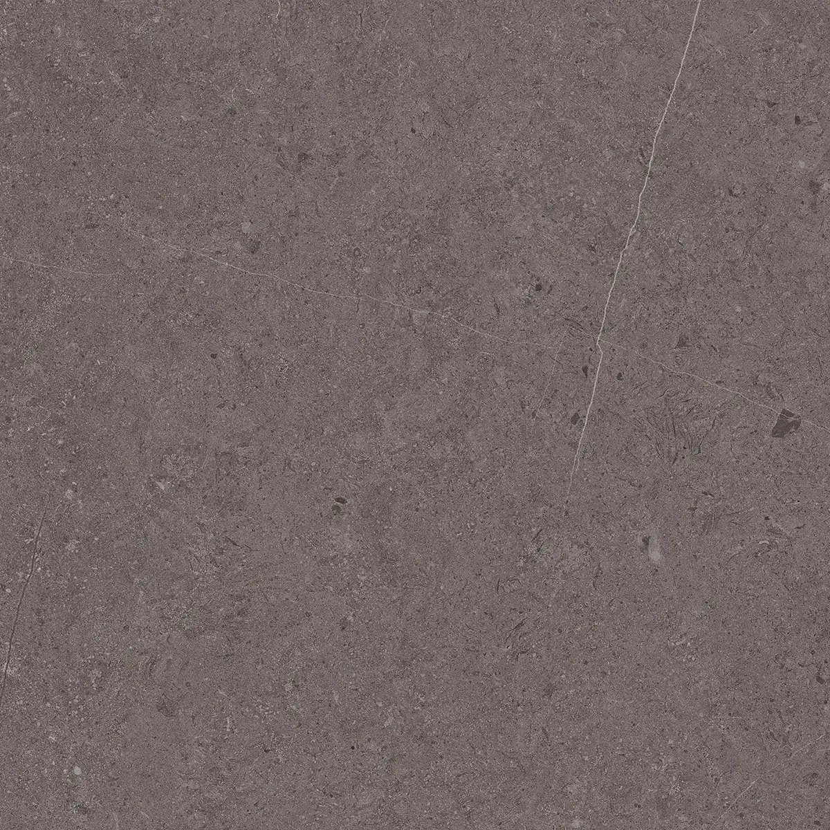 Керамогранит Jura Dark Grey, 80×80 см, 8 мм, матовая, фото 2