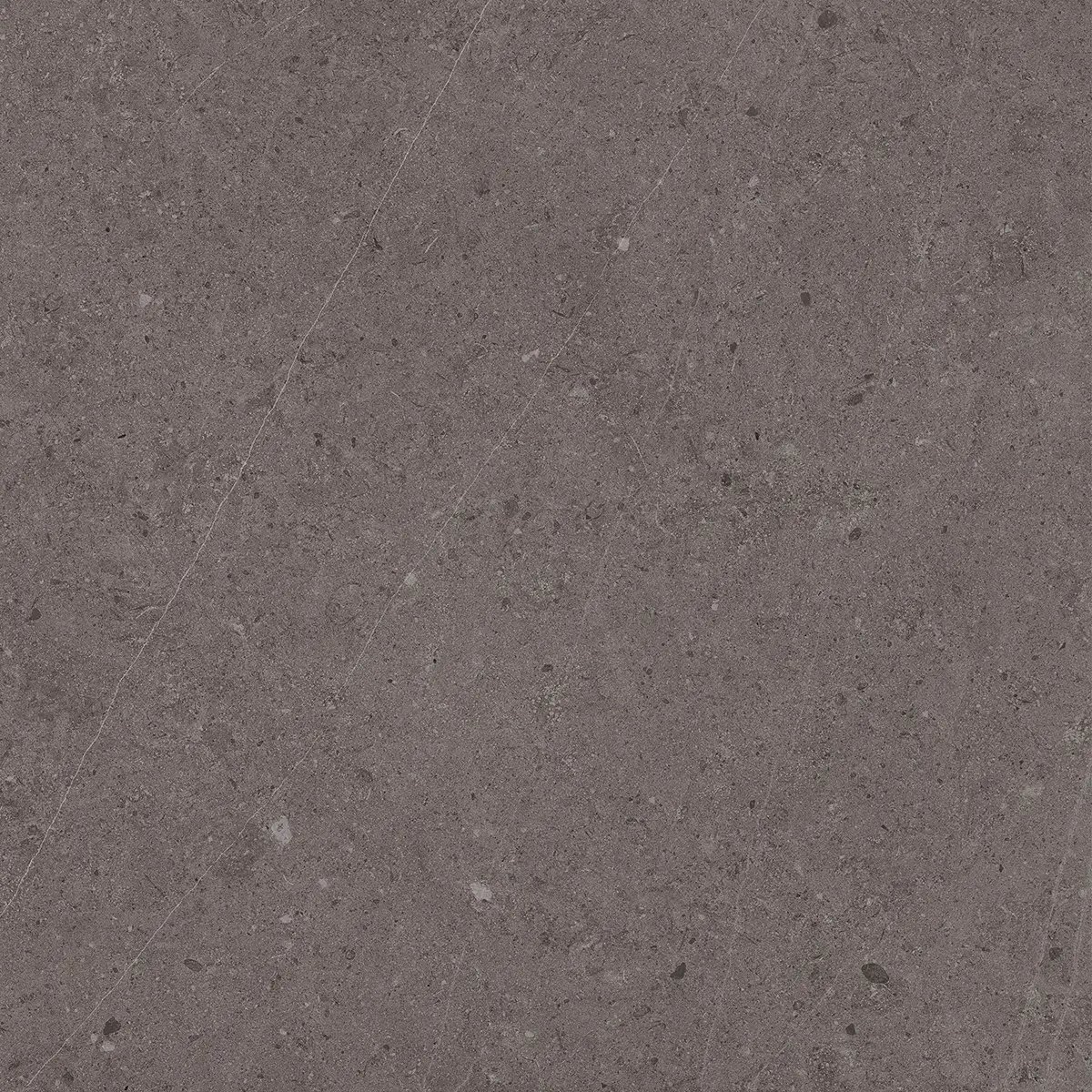 Керамогранит Jura Dark Grey, 80×80 см, 8 мм, матовая, фото 4