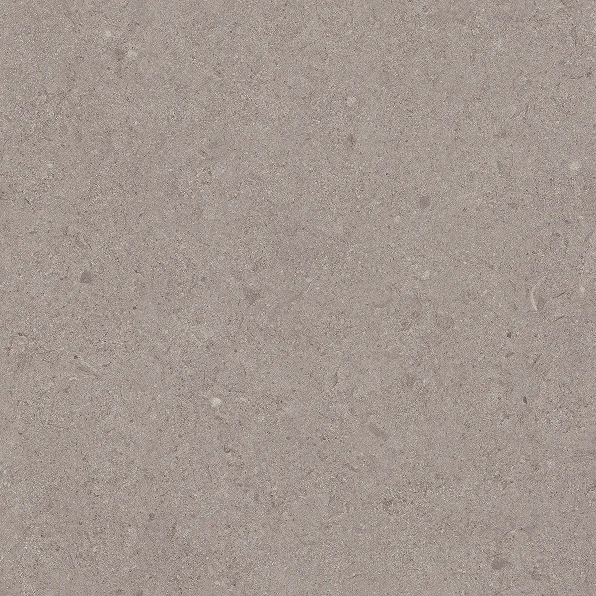 Керамогранит Jura Grey, 80×80 см, 8 мм, матовая, фото 9