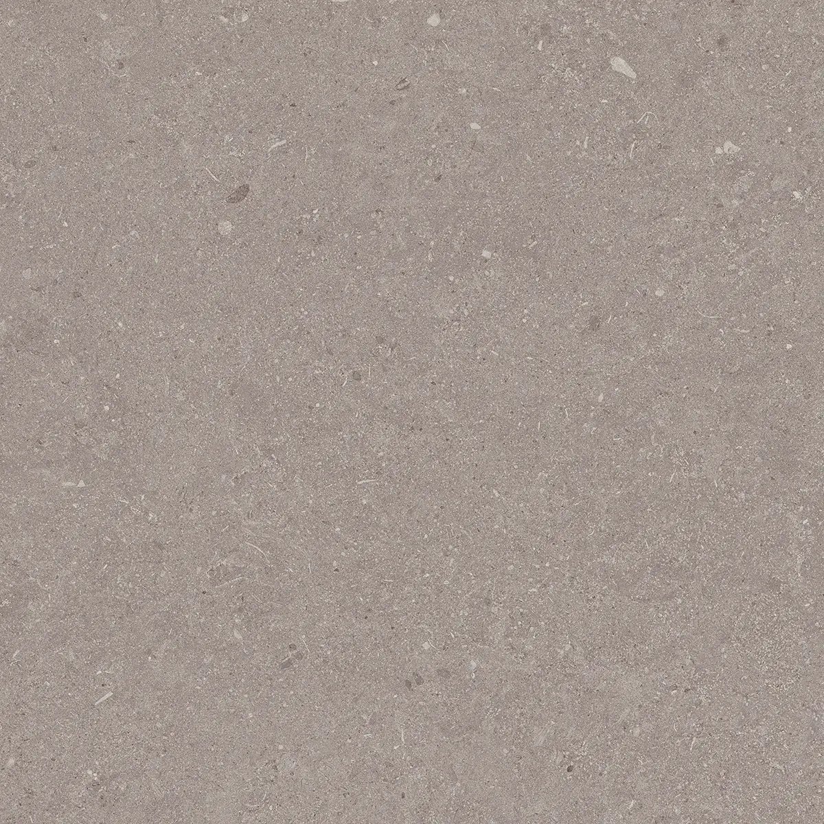 Керамогранит Jura Grey, 80×80 см, 8 мм, матовая, фото 10