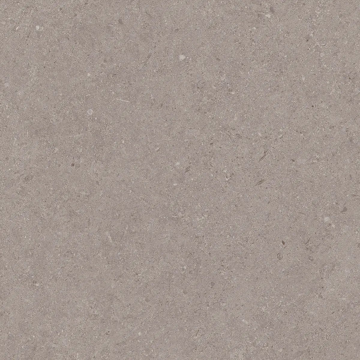 Керамогранит Jura Grey, 80×80 см, 8 мм, матовая, фото 11
