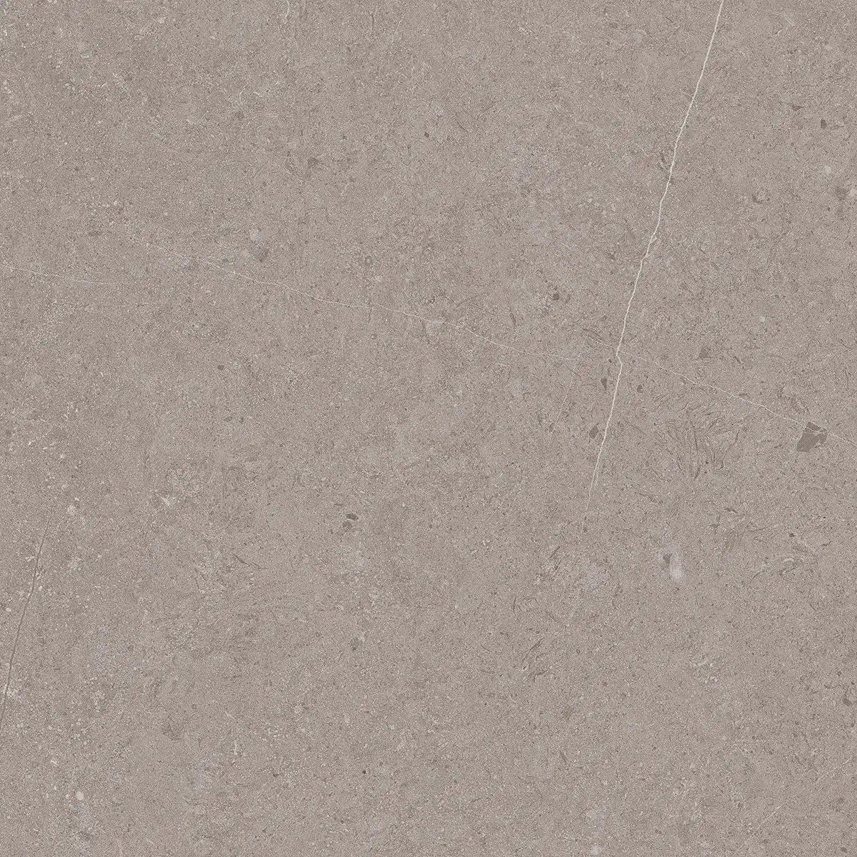 Керамогранит Jura Grey, 80×80 см, 8 мм, матовая, фото 4
