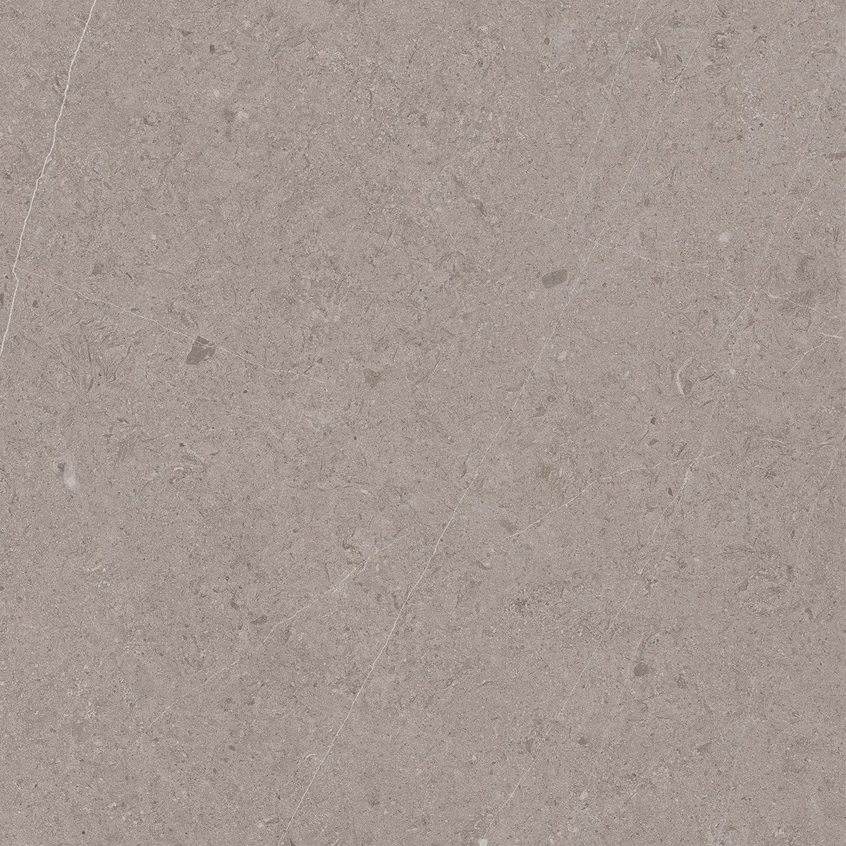 Керамогранит Jura Grey, 80×80 см, 8 мм, матовая, фото 7
