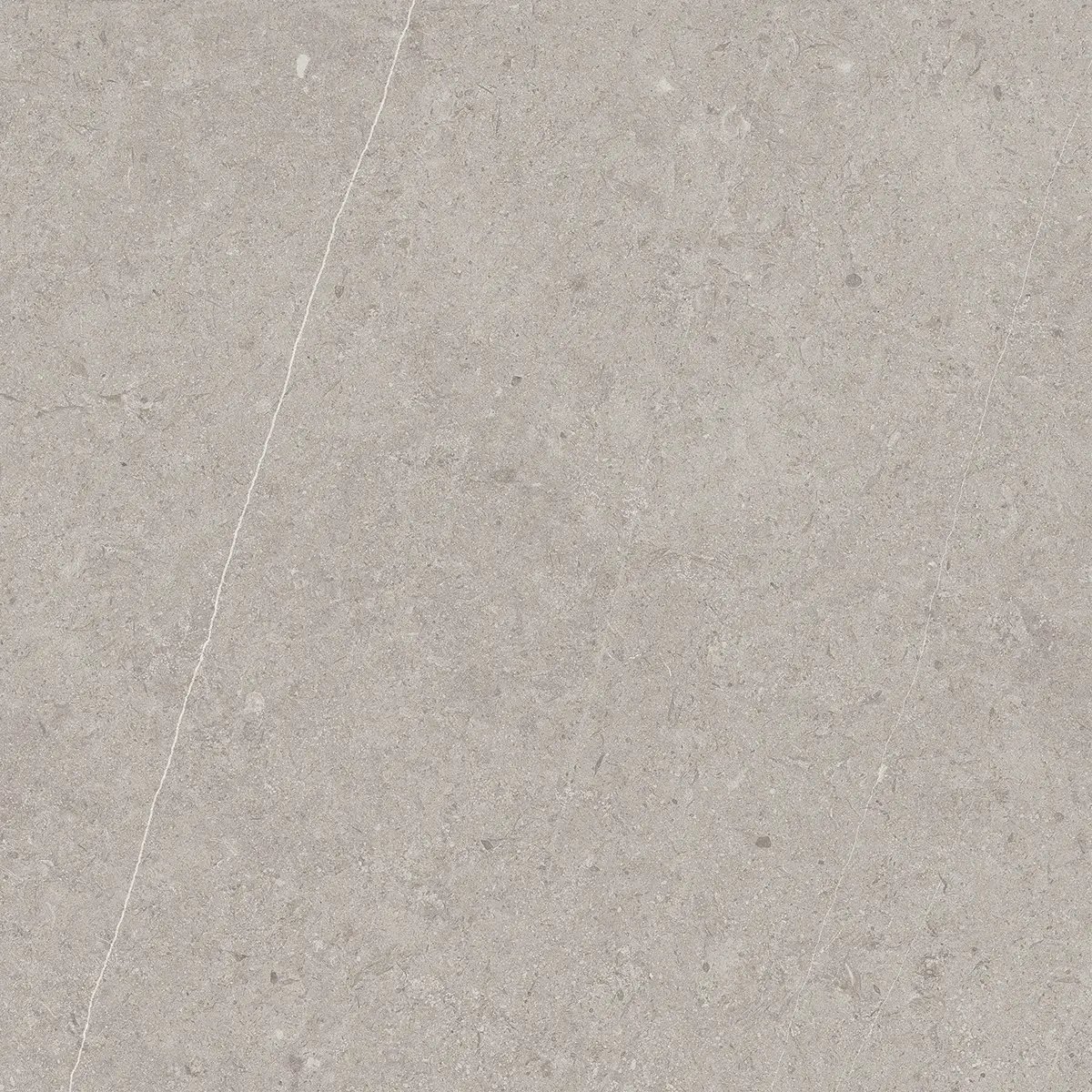 Керамогранит Jura Light Grey, 80×80 см, 8 мм, матовая, фото 1
