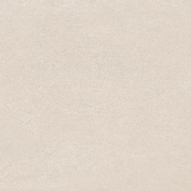 Leonardo Bone