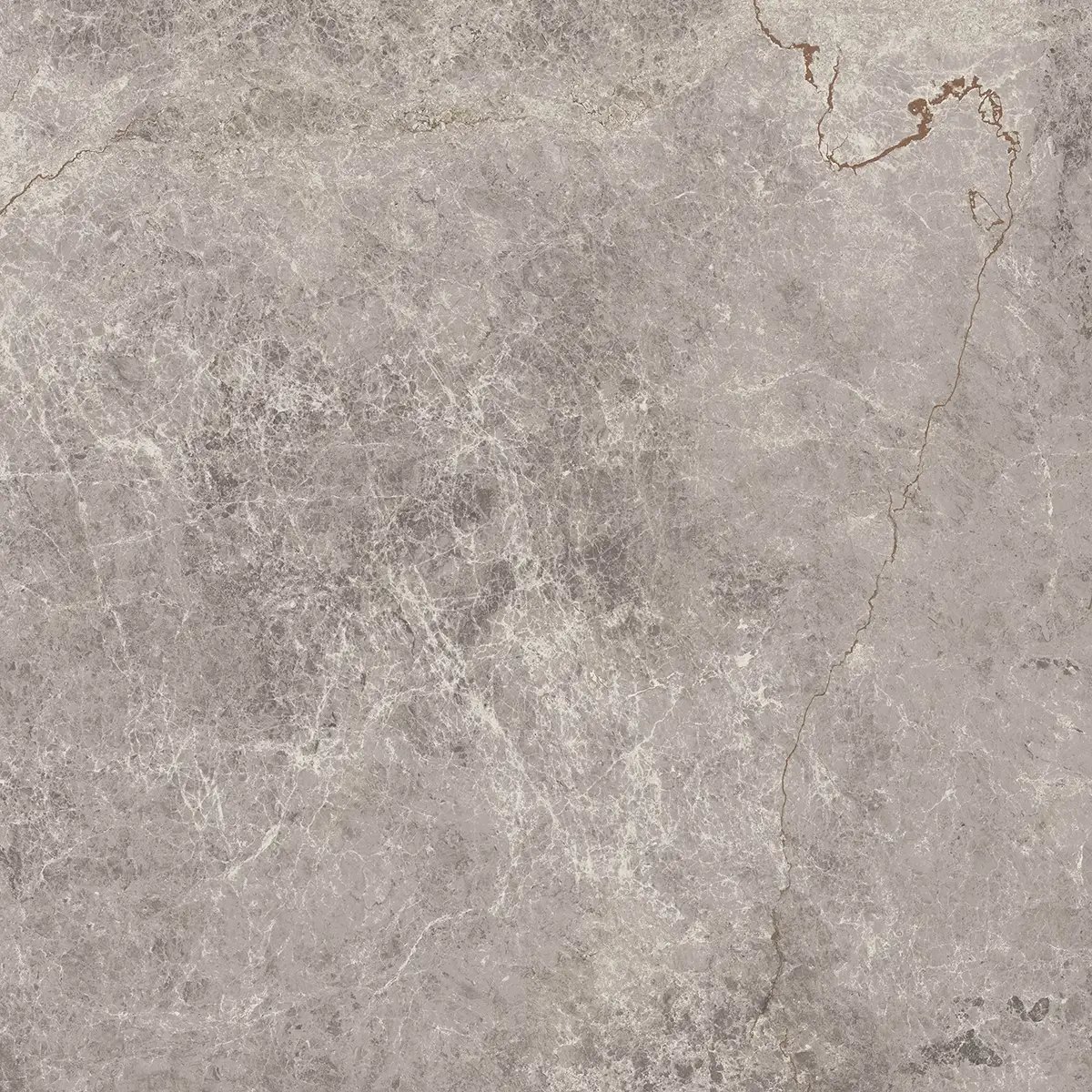 Керамогранит Lidya, 60×60 см, 8 мм, матовая, фото 4