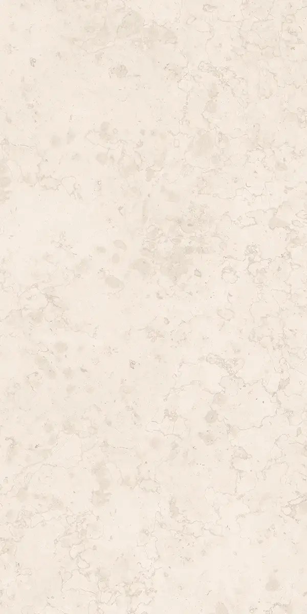 Керамогранит Luce Bone, 60×120 см, 8 мм, матовая (DF), фото 8