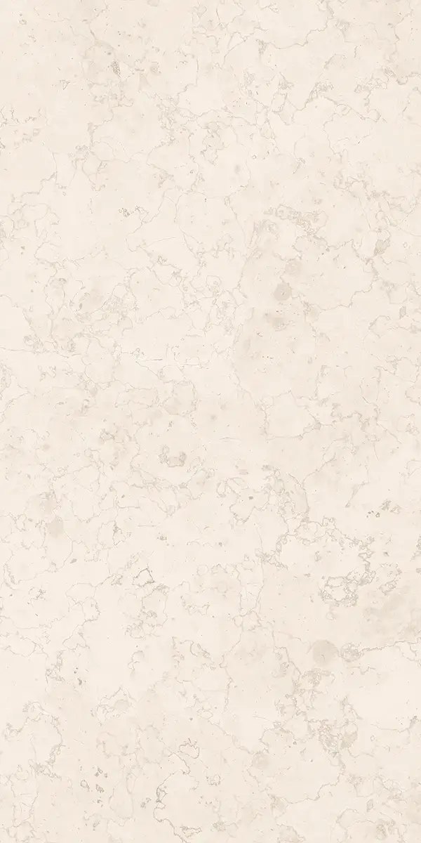 Керамогранит Luce Bone, 60×120 см, 8 мм, матовая (DF), фото 9