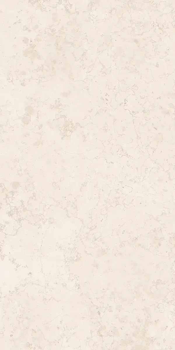 Керамогранит Luce Bone, 60×120 см, 8 мм, матовая (DF), фото 15