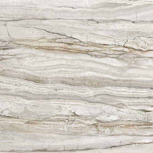 Miami Bone, фото 2