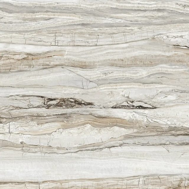 Miami Bone, фото 5