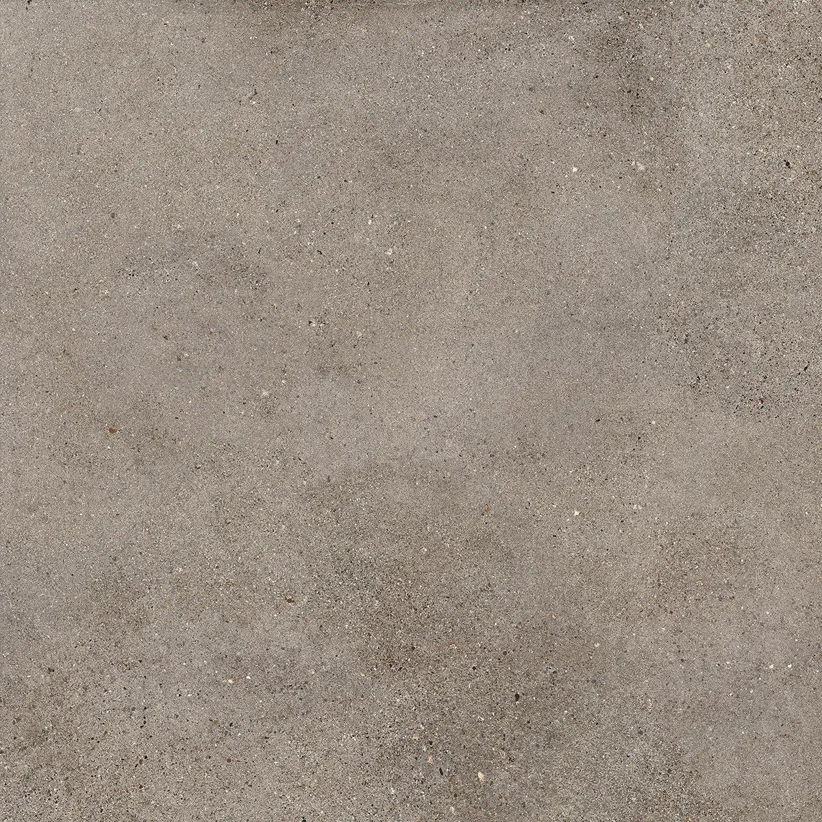 Керамогранит Octavia Grey, 30×60 см, 9 мм, матовая, фото 25