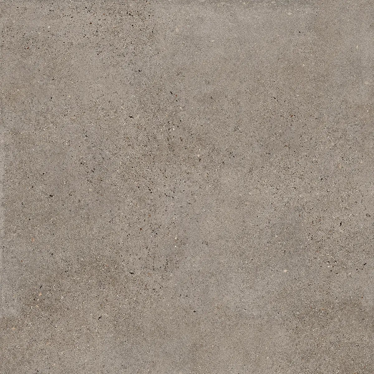 Керамогранит Octavia Grey, 30×60 см, 9 мм, матовая, фото 26