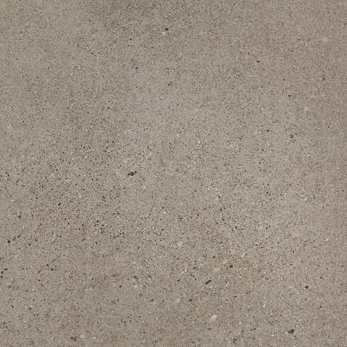 Керамогранит Octavia Grey, 30×60 см, 9 мм, матовая, фото 24