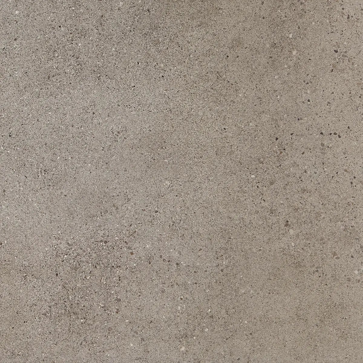 Керамогранит Octavia Grey, 30×60 см, 9 мм, матовая, фото 4