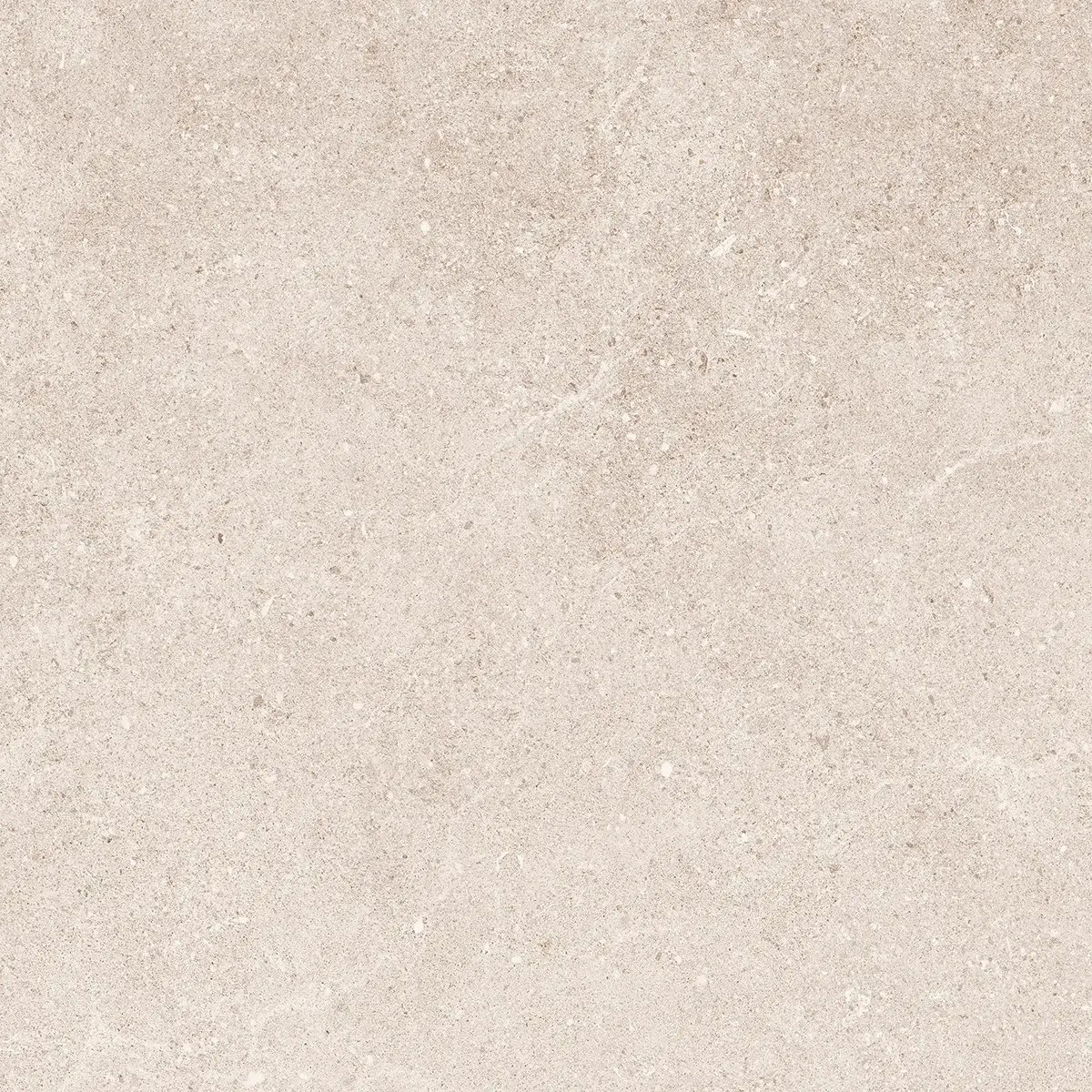 Керамогранит Padova Bone, 30×60 см, 9 мм, матовая, фото 8