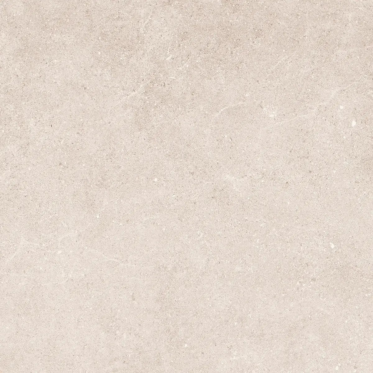 Керамогранит Padova Bone, 30×60 см, 9 мм, матовая, фото 11