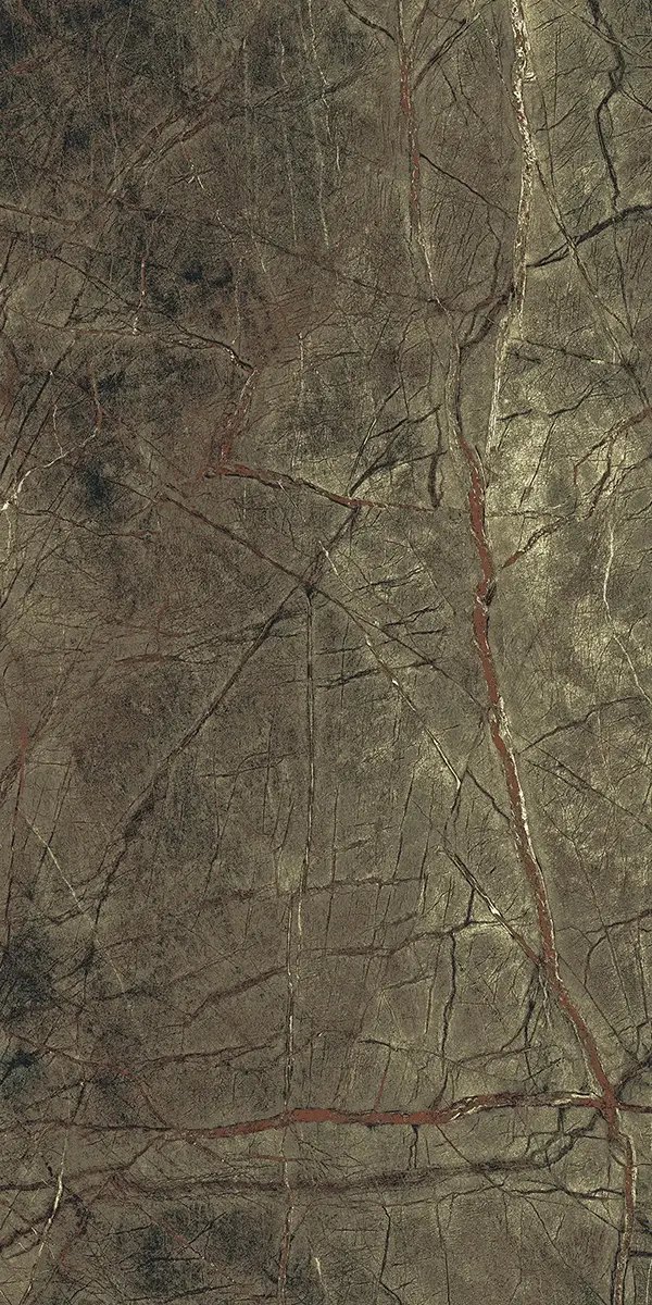 Керамогранит Rain Forest, 60×120 см, 8 мм, полированная (нано), фото 6