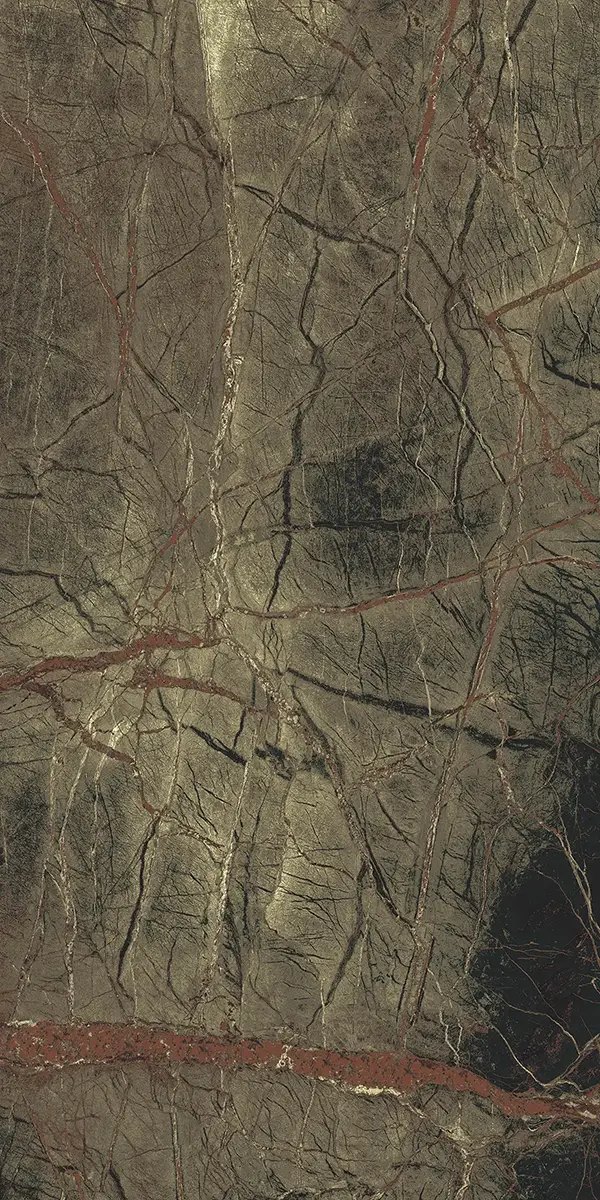 Керамогранит Rain Forest, 60×120 см, 8 мм, полированная (нано), фото 1