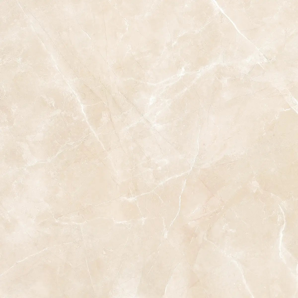 Керамогранит Royal Pulpis Bone, 60×60 см, 8 мм, матовая, фото 23