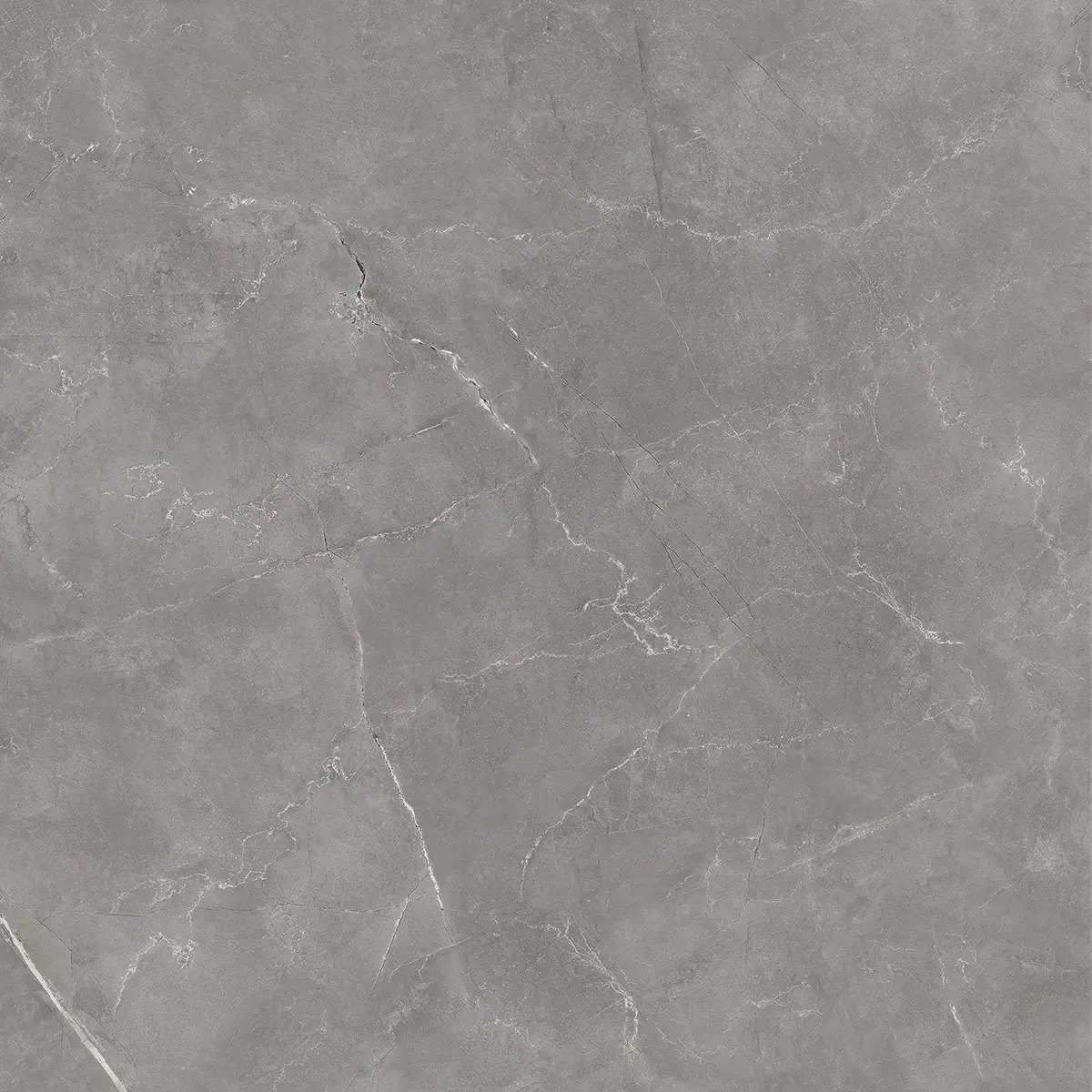 Керамогранит Royal Pulpis Grey, 60×60 см, 8 мм, полированная (нано), фото 9