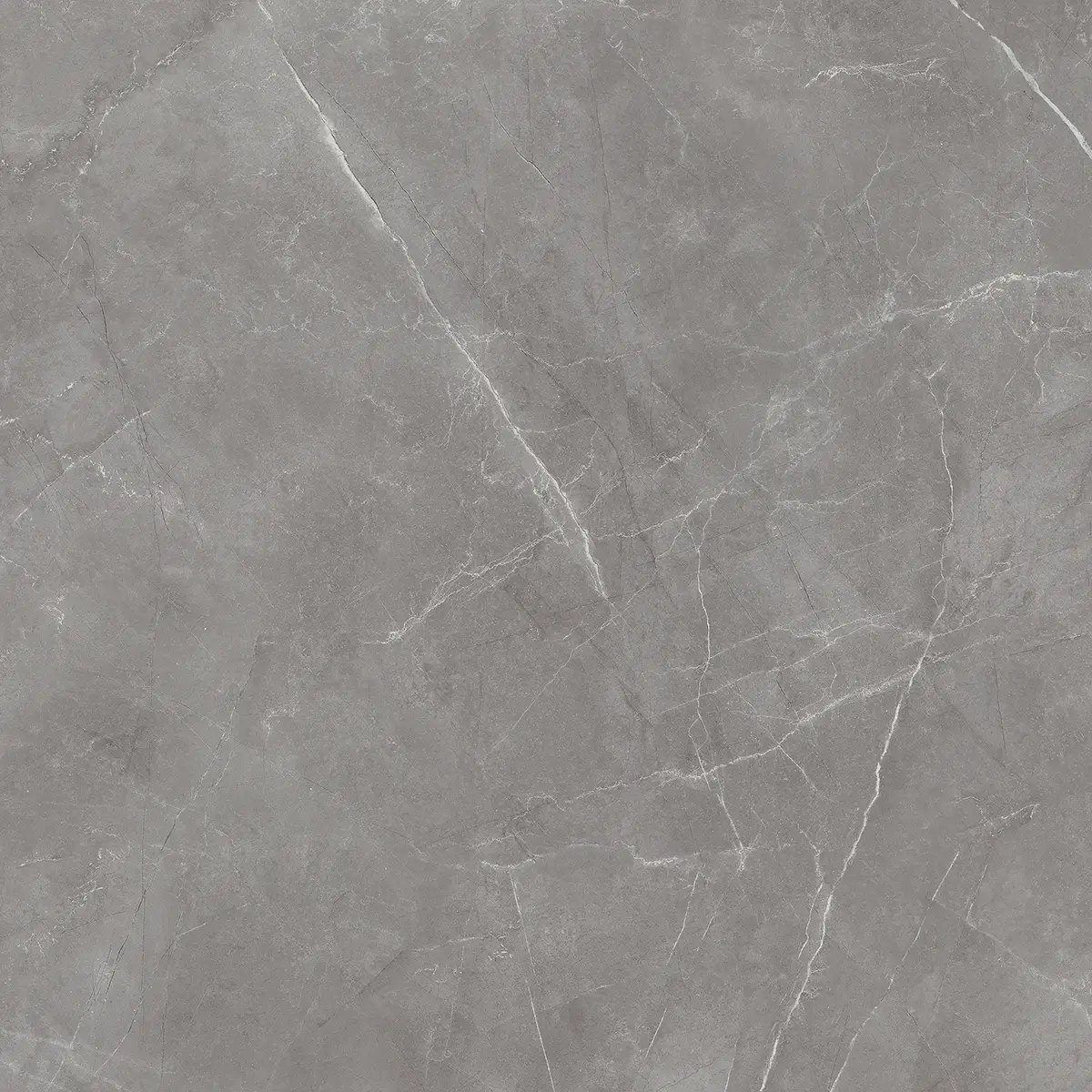 Керамогранит Royal Pulpis Grey, 60×60 см, 8 мм, полированная (нано), фото 10