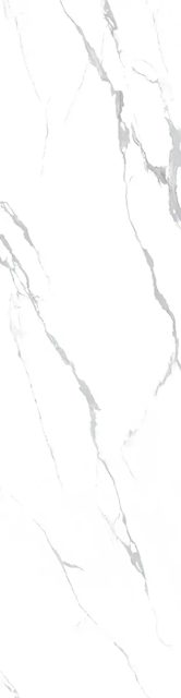Saga, фото 2