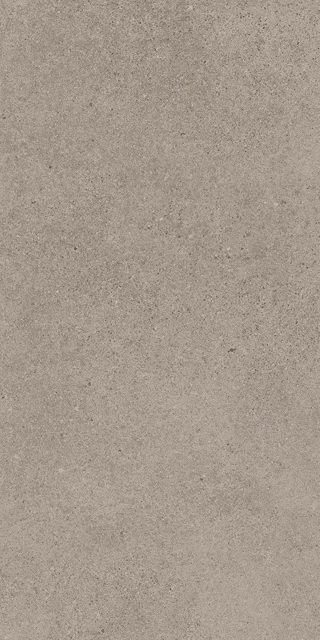 Sandstone Taupe, фото 4