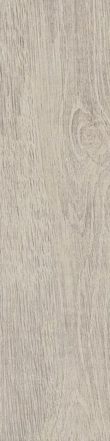 Sedir Maple, фото 2