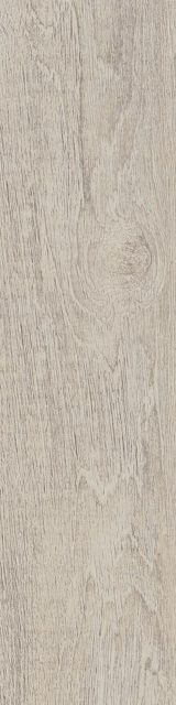 Sedir Maple