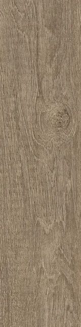 Sedir Oak, фото 3