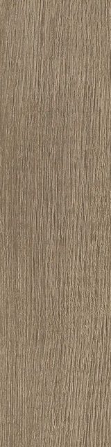 Sedir Oak
