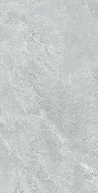 Swan Grey, фото 4