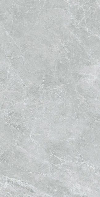 Swan Grey, фото 5